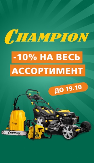 -10 Champion  (десктоп)