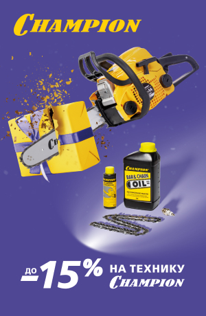 -10 Champion (мобилка)