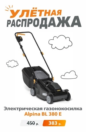 Распродажа Alpina 09/2025 (мобика)