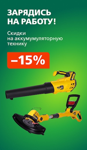 -10 Champion  (десктоп)