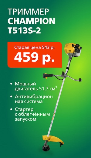 Триммер Champion 07/2026 (десктоп)