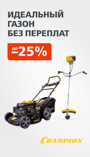 Champion -25 04/2026 (десктоп)