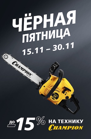 -10 Champion (мобилка)