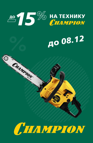 -10 Champion (мобилка)