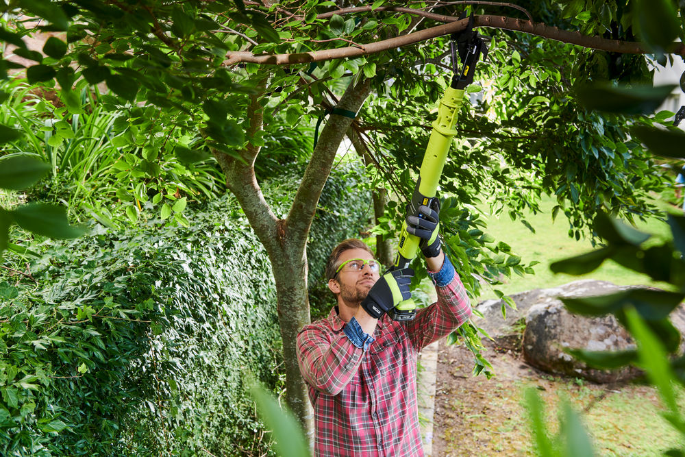 Секатор аккумуляторный RYOBI OLP1832BX (без батареи)